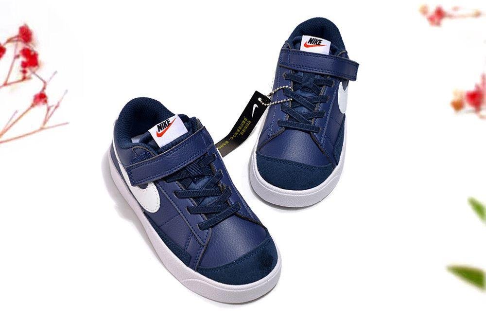 Nike Air Dn (Blue)